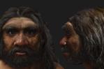 Estudio confirma el cráneo humano más grande hallado pertenece a un denisovano de hace 146,000 años