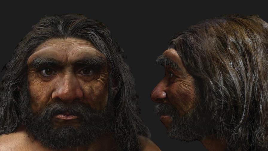 Estudio confirma el cráneo humano más grande hallado pertenece a un denisovano de hace 146,000 años Estudio confirma el cráneo humano más grande hallado pertenece a un denisovano de hace 146,000 años