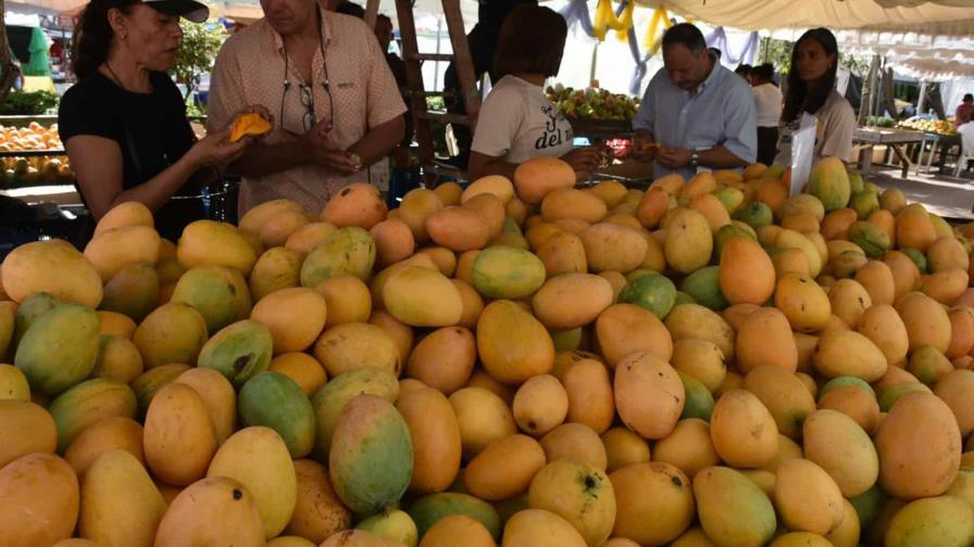 Inauguran la Feria del Mango 2025 en Baní