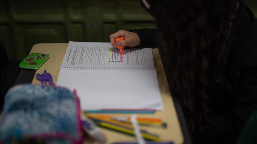 Fallas en la enseñanza y aprendizaje de la lengua y la literatura en la República Dominicana. Fallas en la enseñanza y aprendizaje de la lengua y la literatura en la República Dominicana.
