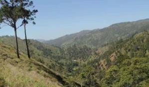 GoldQuest iniciaría en julio estudio de impacto ambiental de proyecto Romero