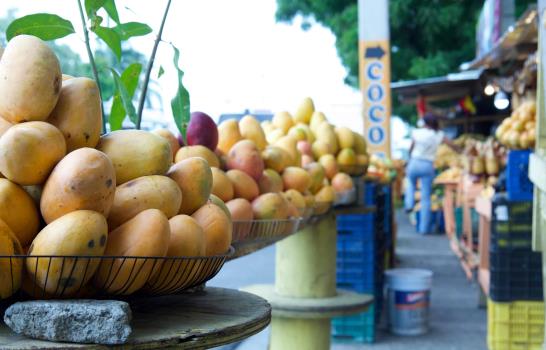 Gobierno anuncia adopci&oacute;n de medidas fitosanitarias para expotar mangos dominicanos