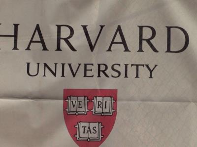 Visados Internacionales bajo Investigación en Universidad Harvard