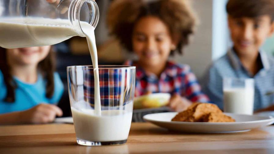 La leche y los lácteos son aliados clave para la salud y la nutrición