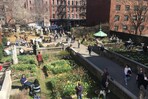 Nueva York salva un jardín urbano amenazado por su plan de viviendas tras presión vecinal Nueva York salva un jardín urbano amenazado por su plan de viviendas tras presión vecinal