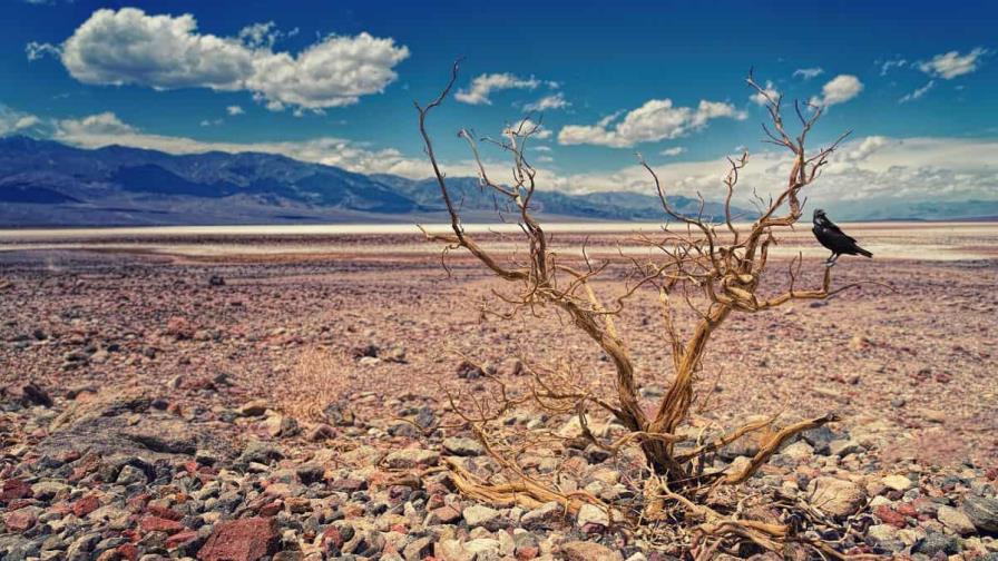 Hoy es jueves 10 de julio del 2025