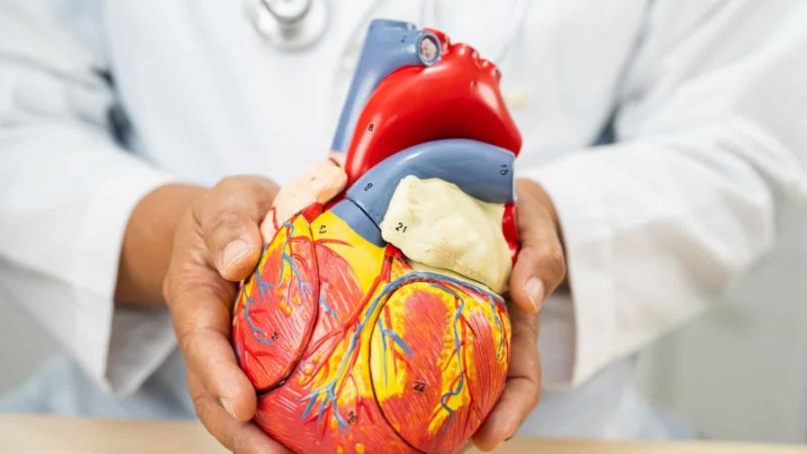 Estudio logra reducir el colesterol "malo" casi a la mitad en pacientes con afecciones cardíacas