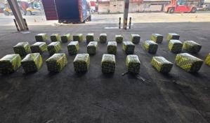 Guatemala decomisa 900 libras de marihuana que tenían como destino República Dominicana
