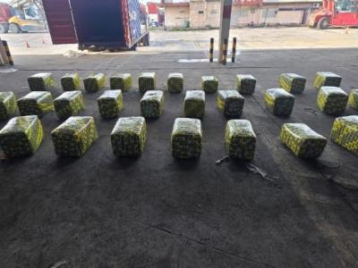 Guatemala decomisa 900 libras marihuana tenían como destino RD