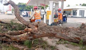 Lluvias y ráfagas de viento causan daños en varias provincias del Cibao