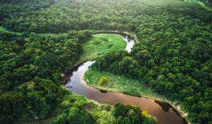 Policía peruana desarticula organización internacional de tráfico de fauna de la Amazonía