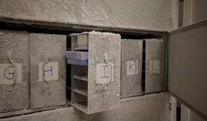 El Arca de Noé microbiana toma forma