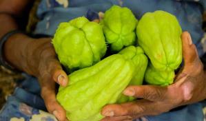 Consumo per cápita de tayota es uno de los que más ha crecido