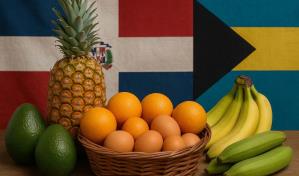 República Dominicana habilita exportación de frutas a las Bahamas y busca sumar más de 80 productos
