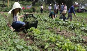 Trump dice que decidirá en las próximas semanas sobre la exenciones de deportaciones