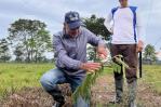 En Colombia, familias campesinas cobran por reforestar tierras degradadas En Colombia, familias campesinas cobran por reforestar tierras degradadas