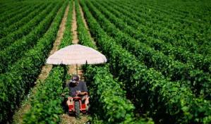 Francia: nuevas medidas para proteger a los trabajadores del calor extremo