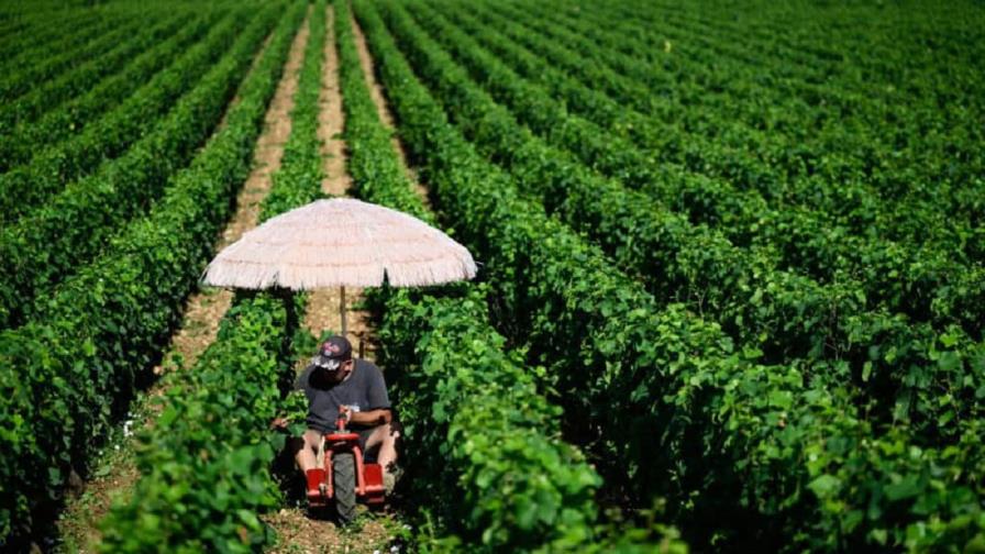 Francia: nuevas medidas para proteger a los trabajadores del calor extremo