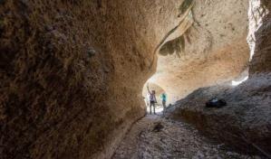 Fósiles de 7,000 años de RD y Panamá muestran cómo la pesca transforma los arrecifes del Caribe