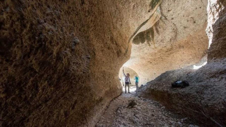Fósiles de 7,000 años de RD y Panamá muestran cómo la pesca transforma los arrecifes del Caribe