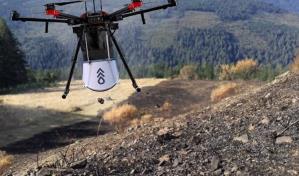 Canadá recurre a los drones para reforestar bosques arrasados por incendios