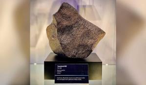 Sothebys subastará el meteorito marciano más grande y valioso encontrado hasta la fecha Sothebys subastará el meteorito marciano más grande y valioso encontrado hasta la fecha