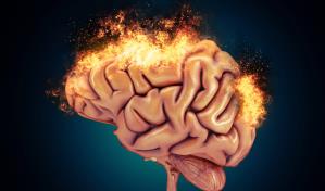 Un estudio aporta nuevas pruebas de que el cerebro forma neuronas nuevas toda la vida