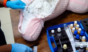 La DNCD decomisa peluche impregnado de cocaína que sería enviado a Australia