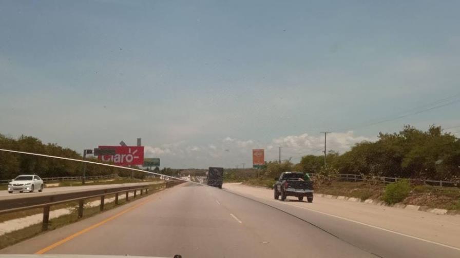 Chofer muere al lanzarse de camión que perdió los frenos en la Autovía del Este Chofer muere al lanzarse de camión que perdió los frenos en la Autovía del Este