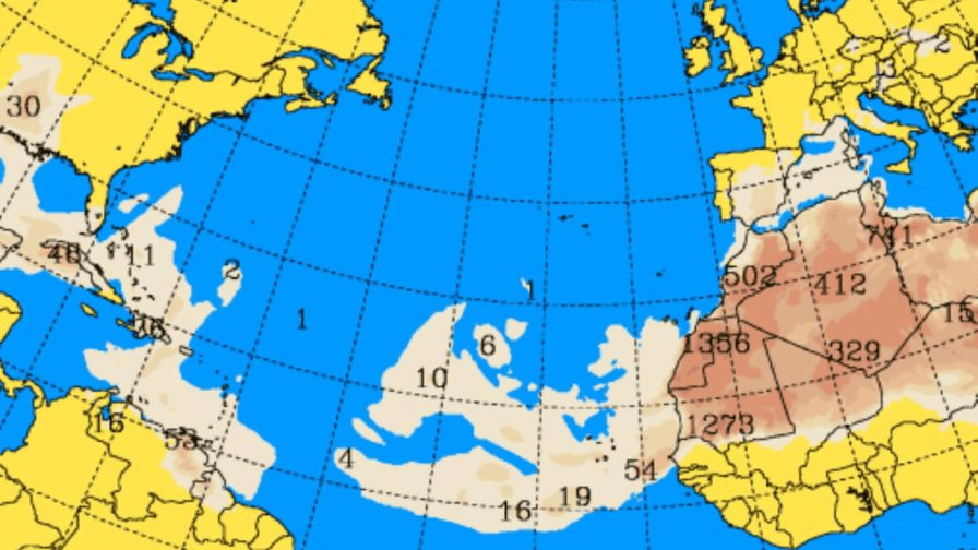 La sensaci&oacute;n t&eacute;rmica seguir&aacute; elevada este lunes por polvo del Sahara