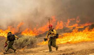 Bomberos avanzan en combate al mayor incendio forestal del año en California Bomberos avanzan en combate al mayor incendio forestal del año en California