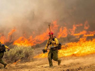 Bomberos combate incendio forestal en California
