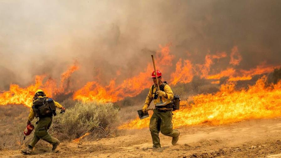 Bomberos avanzan en combate al mayor incendio forestal del a&ntilde;o en California