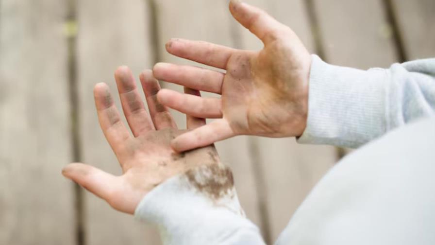 Rescatan a niño tailandés abandonado en una choza: vivía entre perros y se comunicaba con ladridos Rescatan a niño tailandés abandonado en una choza: vivía entre perros y se comunicaba con ladridos