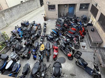 Incautan pasolas en NY en operativo de control de vehículos