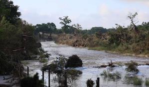 Tragedia en Texas: más de 161 desaparecidos y al menos 109 muertos tras las lluvias