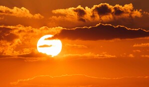 El auge de la energ&iacute;a solar en China disminuye la diversidad de aves, seg&uacute;n estudio