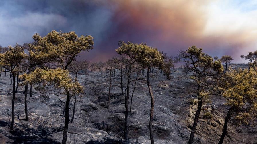 Siria pide ayuda a la UE para combatir los incendios forestales Siria pide ayuda a la UE para combatir los incendios forestales