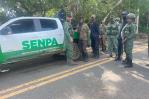 Detienen 44 haitianos y desmantelan conucos por daños ambientales en el Parque Nacional Los Haitises