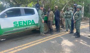 Detienen 44 haitianos y desmantelan conucos por daños ambientales en el Parque Nacional Los Haitises