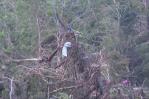 Un centenar de muertos y más de 160 desaparecidos por las inundaciones en Texas
