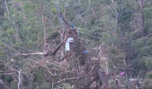 Un centenar de muertos y más de 160 desaparecidos por las inundaciones en Texas