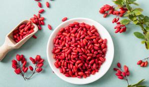 Berberina y microbiota intestinal, ¿tendencia sobrevalorada?