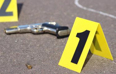 Feminicidio- suicidio: capitán mata a su pareja y suegra; se suicida -  Diario Libre