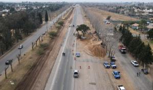 Traslado de un &aacute;rbol de casi 300 a&ntilde;os provoca protestas en Argentina