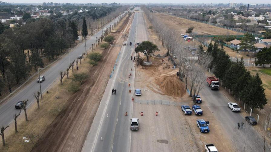 Traslado de un árbol de casi 300 años provoca protestas en Argentina Traslado de un árbol de casi 300 años provoca protestas en Argentina