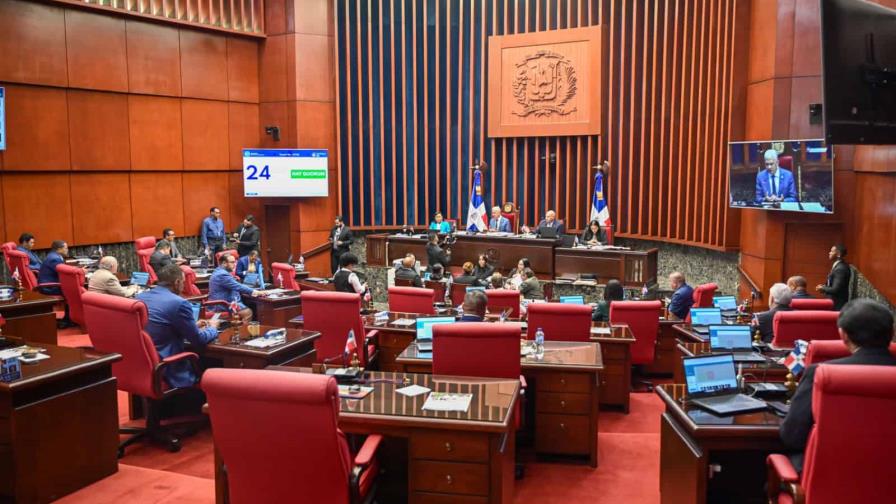 Sin las causales del aborto, el Senado aprueba en primera discusión el nuevo Código Penal Sin las causales del aborto, el Senado aprueba en primera discusión el nuevo Código Penal
