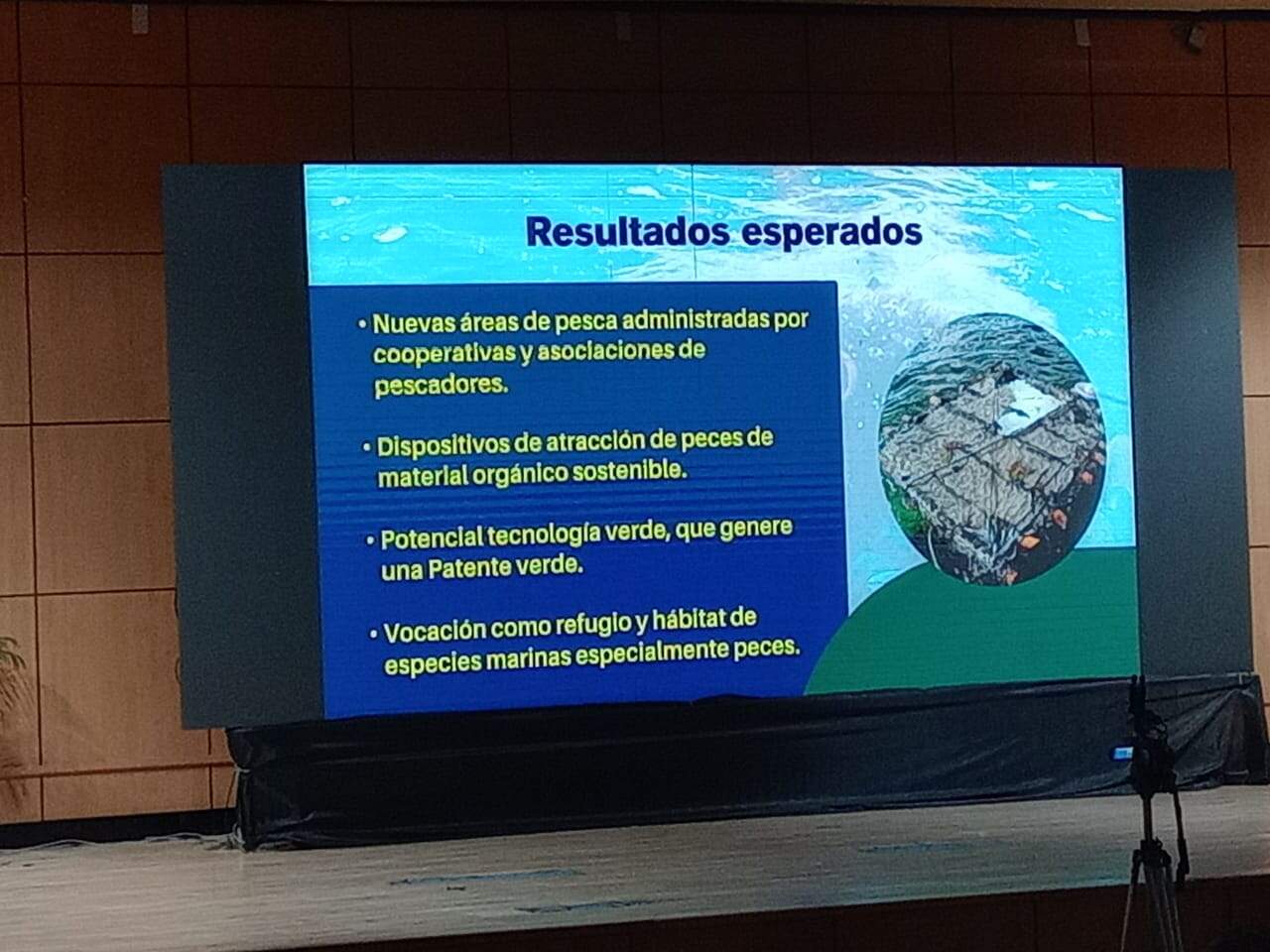 Infografía