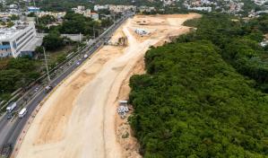 Ambientalista advierte: "El Botánico no es un solar que se puede recortar"