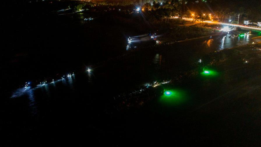 Científicos dominicanos investigan impacto de la pesca de larvas de anguila americana Científicos dominicanos investigan impacto de la pesca de larvas de anguila americana